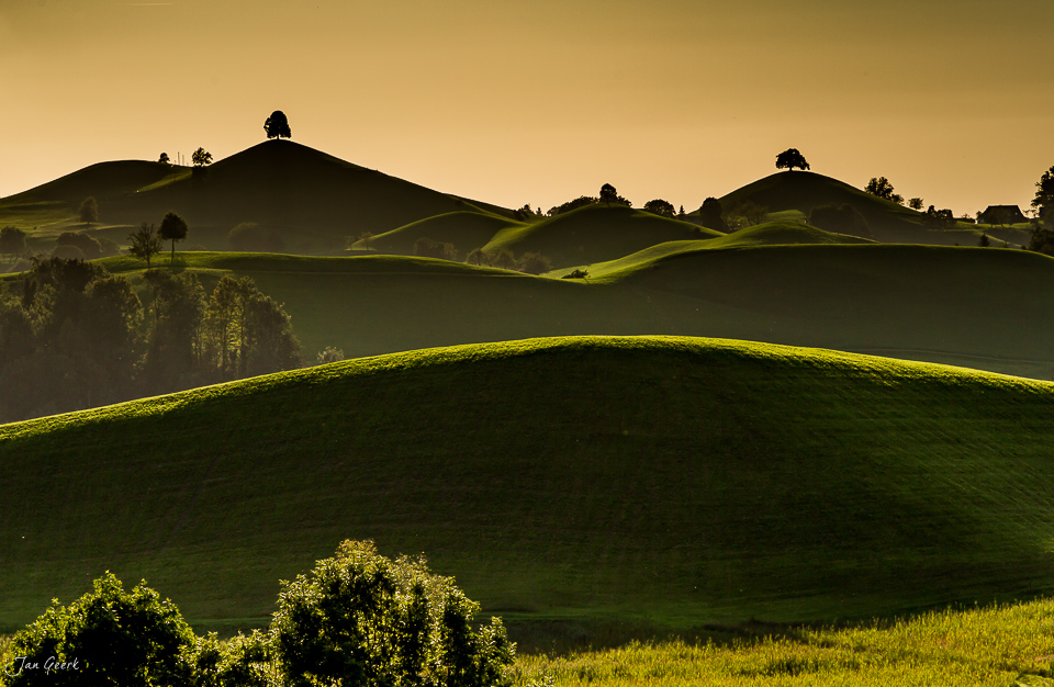Drumlinlandschaft bei Hirzel mit grünen Hügeln in goldenem Licht, Zentralschweiz – Jan Geerk Fotograf Basel