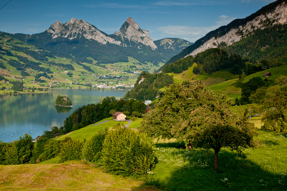 Lauerzersee Mythen Bergpanorama Sommer Zentralschweiz Schweiz – Jan Geerk Fotograf Basel