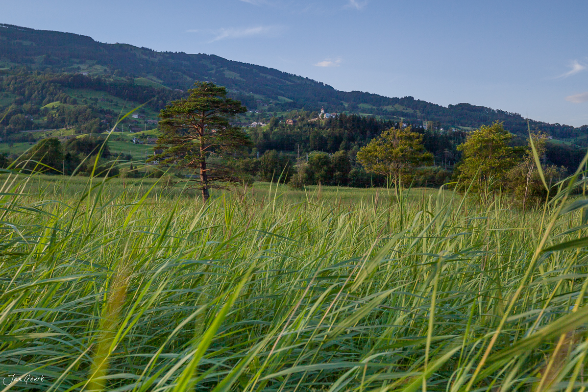 Lauerzersee Mythen Alpwiese Sommermorgen Zentralschweiz Schweiz – Jan Geerk Fotograf Basel