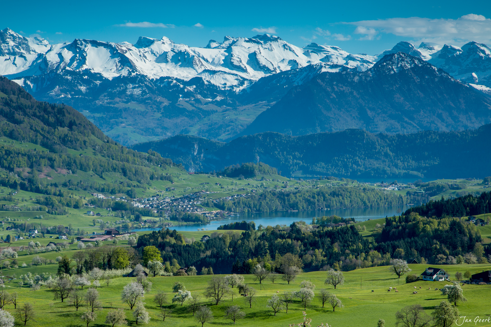 Küssnacht Frühlingslandschaft mit blühenden Obstbäumen, schneebedeckte Alpen im Hintergrund, Schweiz – Jan Geerk Fotograf Basel