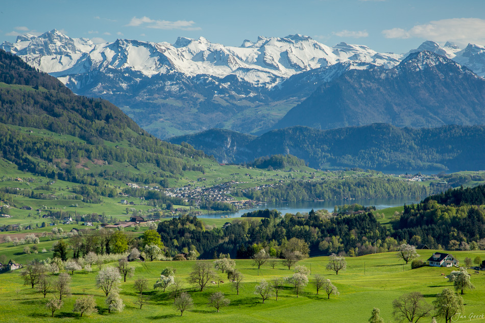 Obstblüte in Küssnacht mit Blick auf Pilatus und Rigi, Frühlingsstimmung in der Zentralschweiz – Jan Geerk Fotograf Basel