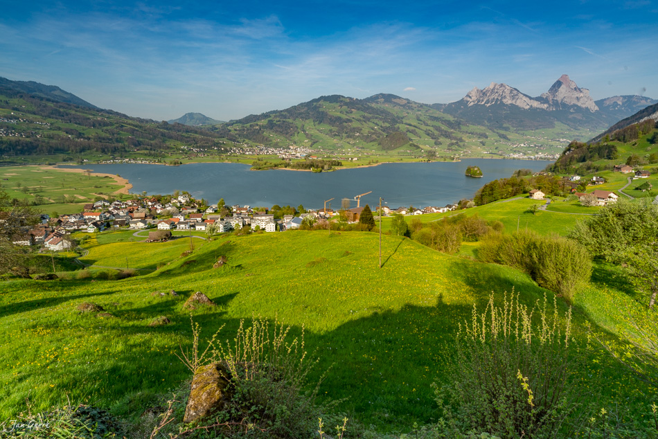 Frühjahrsblüte am Lauerzersee mit Rigi-Bergpanorama, grüne Wiesen und Dorfansicht, Frühling in der Schweiz – Jan Geerk Fotograf Basel