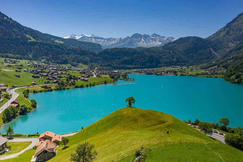 Lungernsee mit türkisblauem Wasser, umgeben von grünen Alpenwiesen und schneebedeckten Bergspitzen im Sommer, Zentralschweiz – Jan Geerk Fotograf Basel