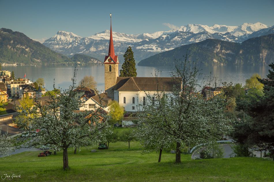 Kirche mit rotem Dachspitz am Vierwaldstättersee, blühende Obstbäume im Frühling, schneebedeckte Alpen im Hintergrund, Zentralschweiz – Jan Geerk Fotograf Basel