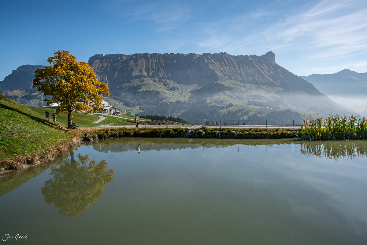 Alpweide mit gelbem Herbstbaum und Bergsee spiegelt Schrattenfluh Entlebuch Herbst Schweiz Jan Geerk Fotograf Basel
