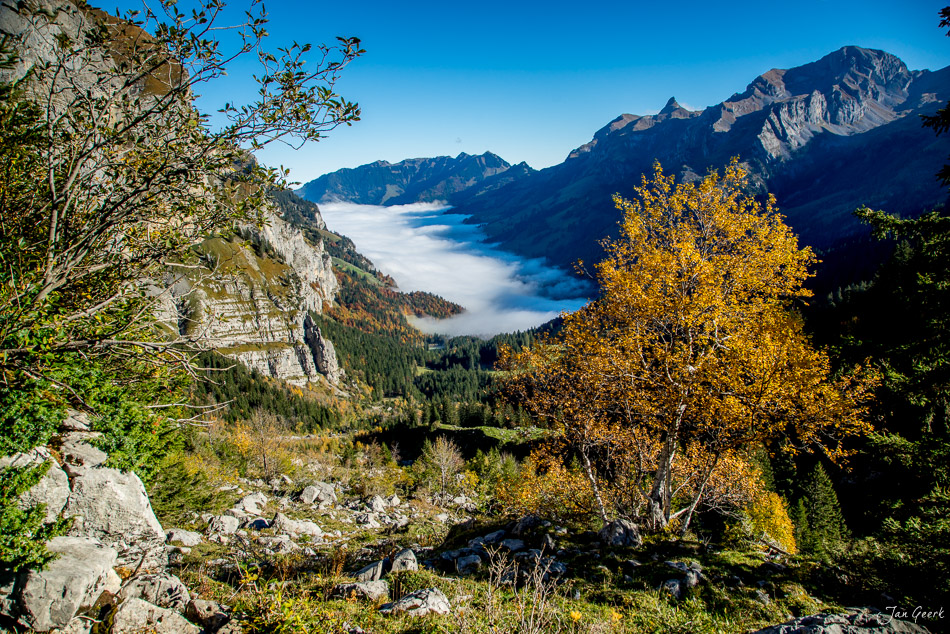 Herbstliche Berglandschaft am Melchsee mit Nebelmeer, schneebedeckten Alpen und goldenen Lärchen in der Zentralschweiz – Jan Geerk Fotograf Basel