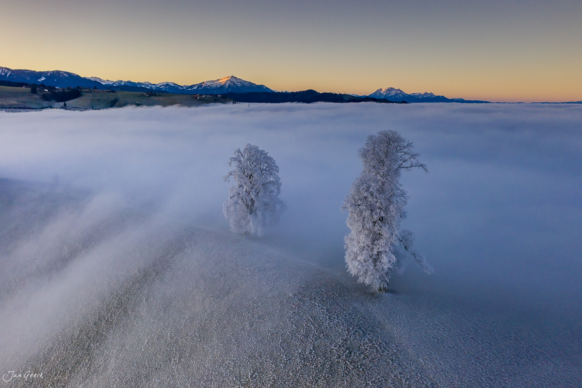 Raureif-Bäume in Nebelmeer über Menzingen, Winterlandschaft Zentralschweiz Schweiz – Jan Geerk Fotograf Basel