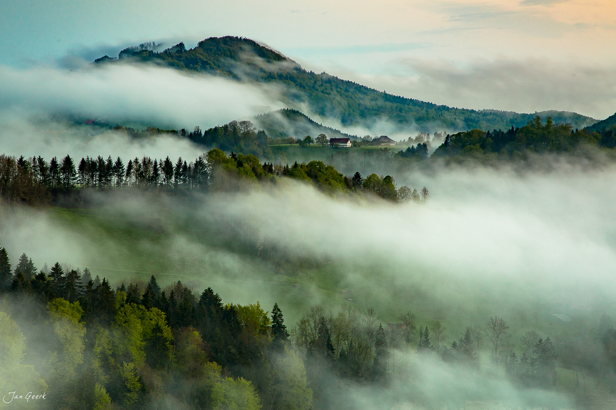 Nebelverhangener Sihlwald Menzingen Frühjahrsmorgen Zentralschweiz Schweiz Jan Geerk
