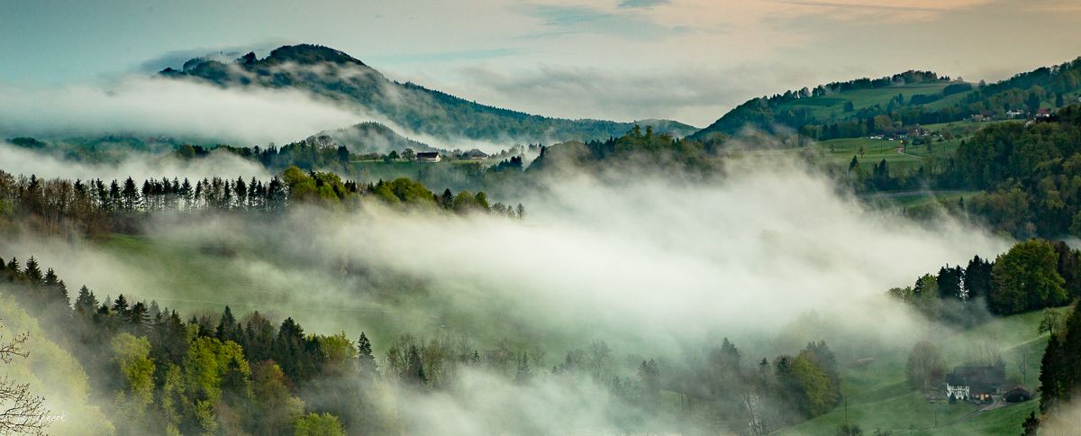 Nebelmeer Sihlwald Menzingen Frühling Zentralschweiz Schweiz Jan Geerk Fotograf