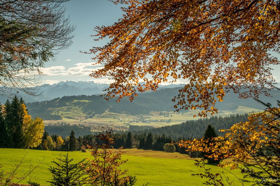 Herbstliche Berglandschaft am Raten mit golden gefärbten Laubbäumen, grünen Wiesen und Alpenkette in der Ferne – Schweiz, Jan Geerk Fotograf Basel
