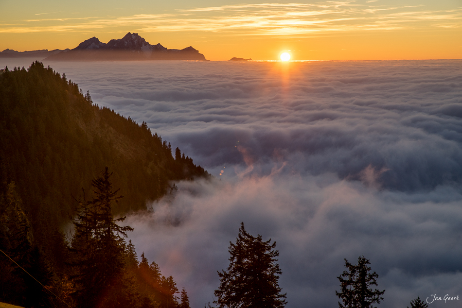 Sonnenaufgang über Nebelmeer mit Alpengipfel Rigi Kulm Oktober Zentralschweiz Schweiz Jan Geerk Fotograf Basel