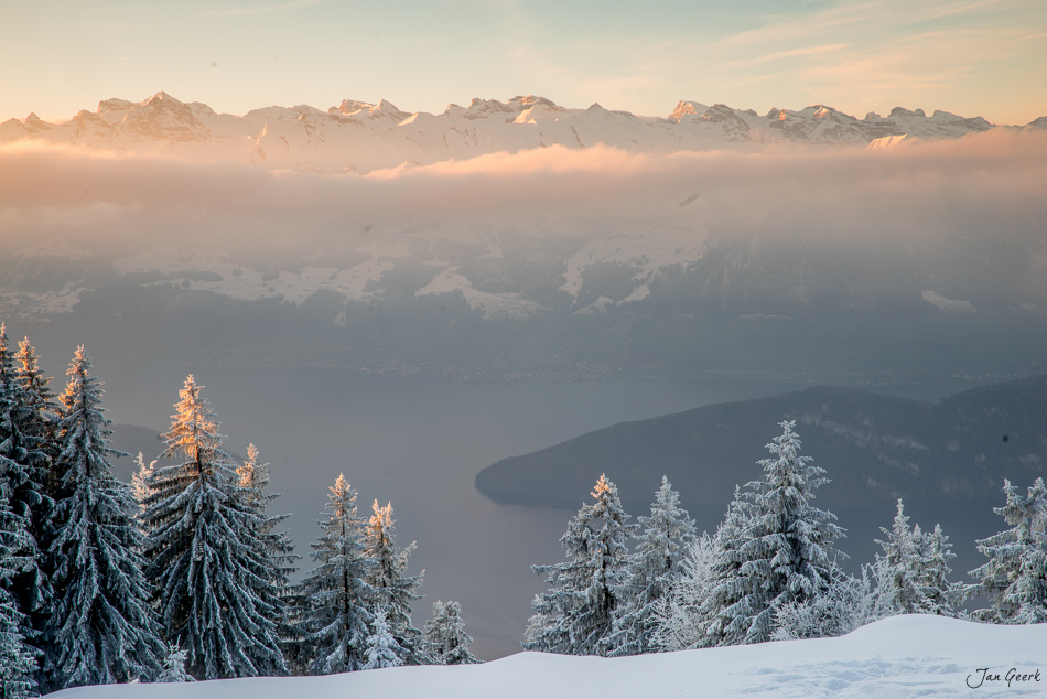 Schneebedeckte Lärchen und Nebelmeer am Rigi bei Sonnenaufgang, Zentralschweiz Schweiz – Jan Geerk Fotograf Basel