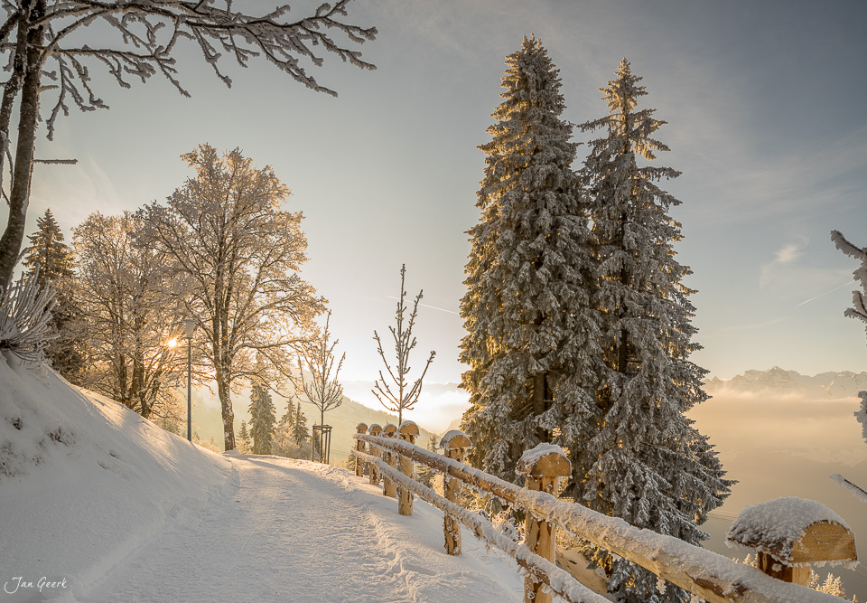Winterlandschaft Rigi-Kaltbad mit verschneiten Fichten, Holzzaun und Nebelmeer bei Sonnenaufgang in der Zentralschweiz – Jan Geerk Fotograf Basel