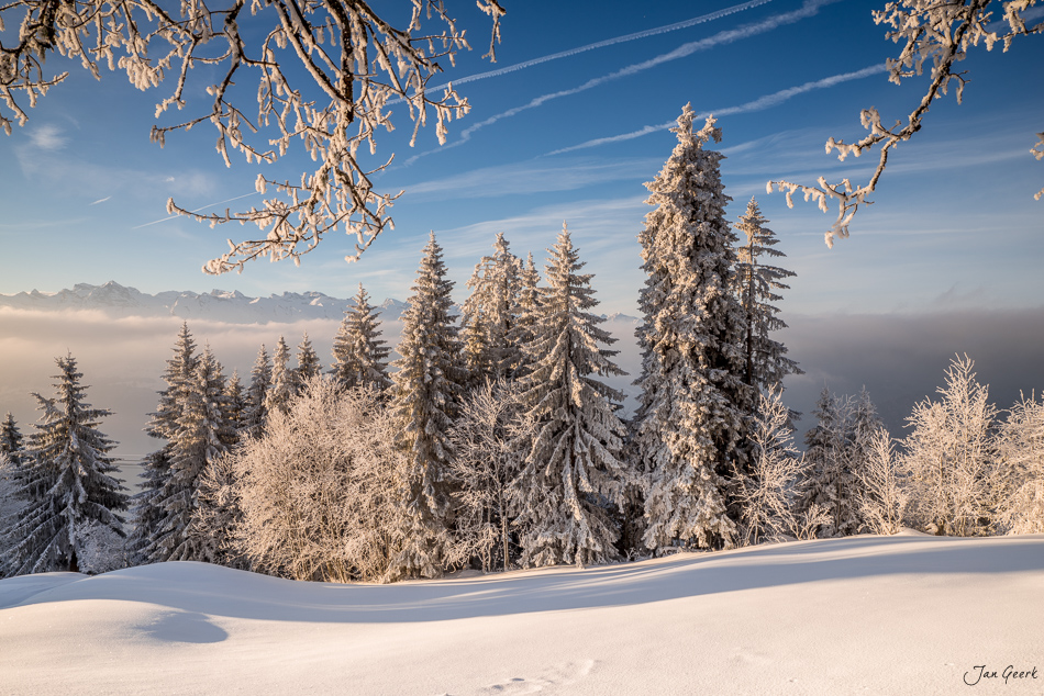 Winterlandschaft Rigi mit schneebedeckten Fichten, Reif und Nebelmeer bei Sonnenaufgang in der Zentralschweiz – Jan Geerk Fotograf Basel