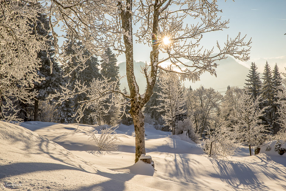 Winterlandschaft Rigi-Kaltbad mit Reif und Schnee im Sonnenaufgang Zentralschweiz Schweiz – Jan Geerk Fotograf Basel