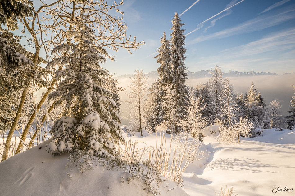 Winterlandschaft mit verschneiten Fichten und Nebelmeer am Rigi in der Schweiz – Jan Geerk Fotograf Basel