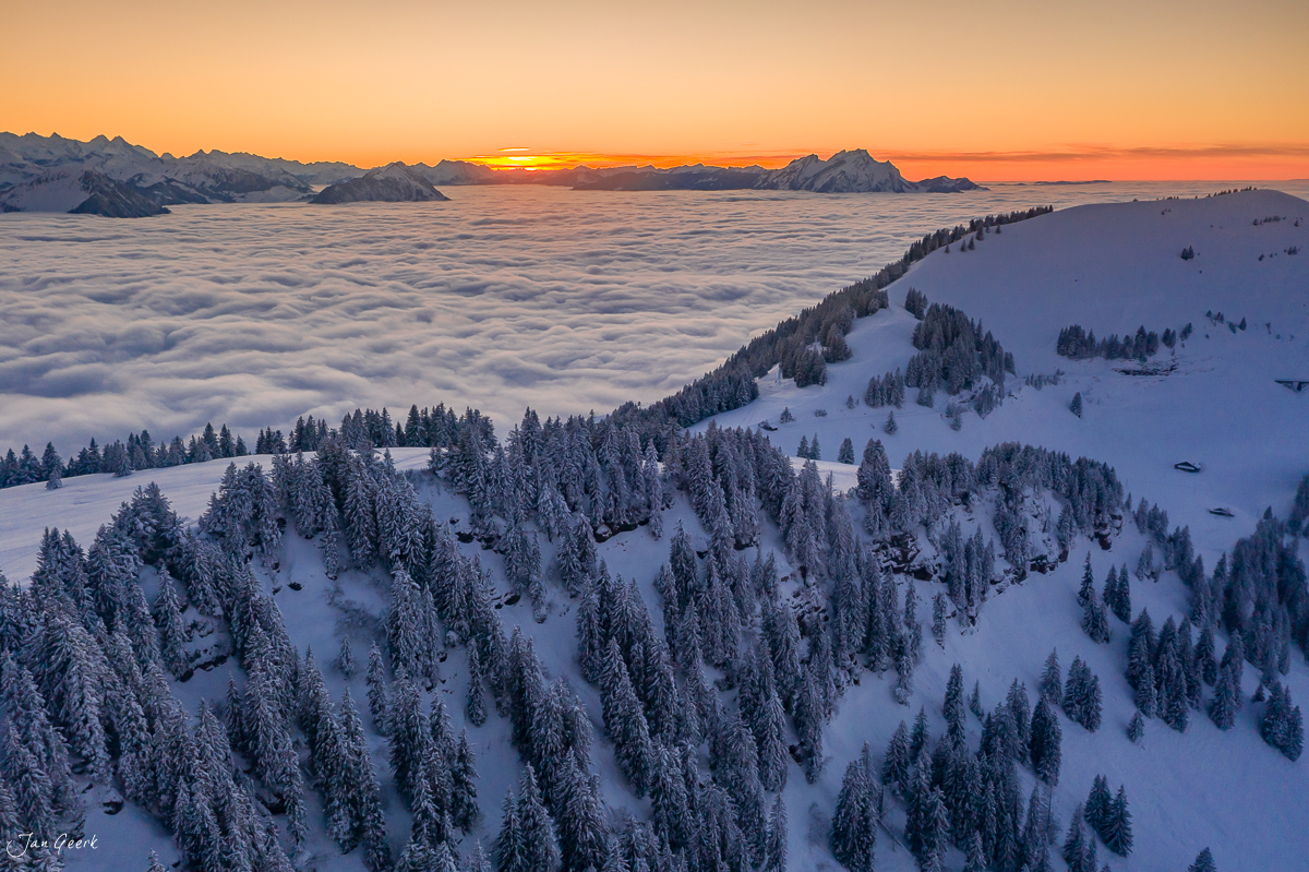 Verschneite Berglandschaft mit Föhrenwäldern bei Scheidegg, Sonnenaufgang über Nebelmeer, Zentralschweiz – Jan Geerk Fotograf Basel