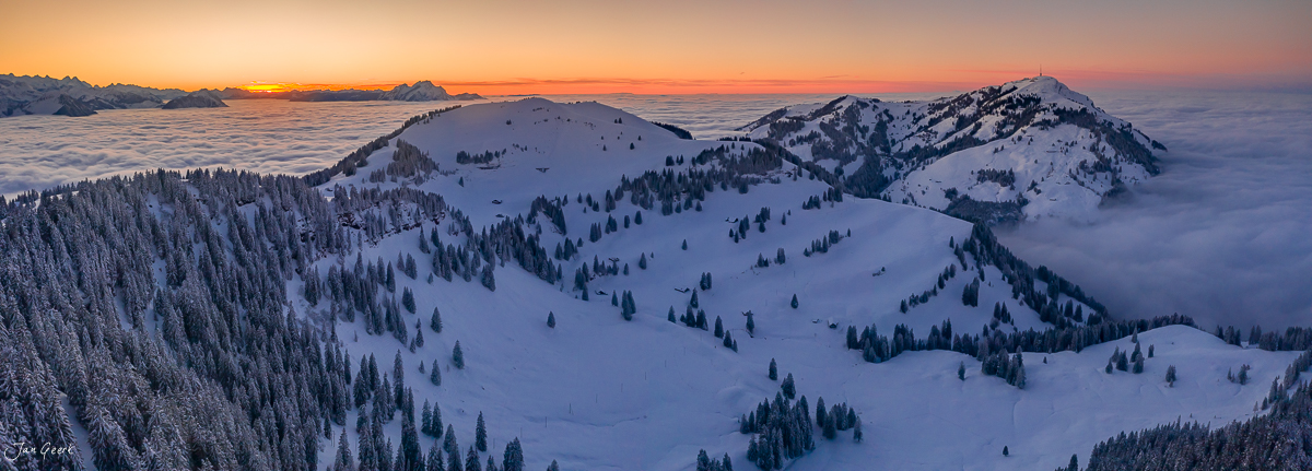 Verschneite Berghänge mit Föhrenwäldern bei Scheidegg im Morgenlicht, Zentralschweiz – Jan Geerk Fotograf Basel