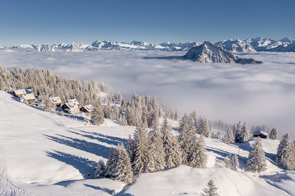 Verschneite Alpentannenwälder bei Rigi-Scheidegg mit Nebelmeer und Pilatus im Hintergrund, Winterluftaufnahme Zentralschweiz – Jan Geerk Fotograf Basel