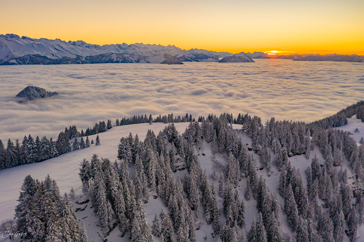 Schneebedeckte Fichten und Nebelmeer bei Rigi-Scheidegg im Alpenmorgenrot, Zentralschweiz – Jan Geerk Fotograf Basel