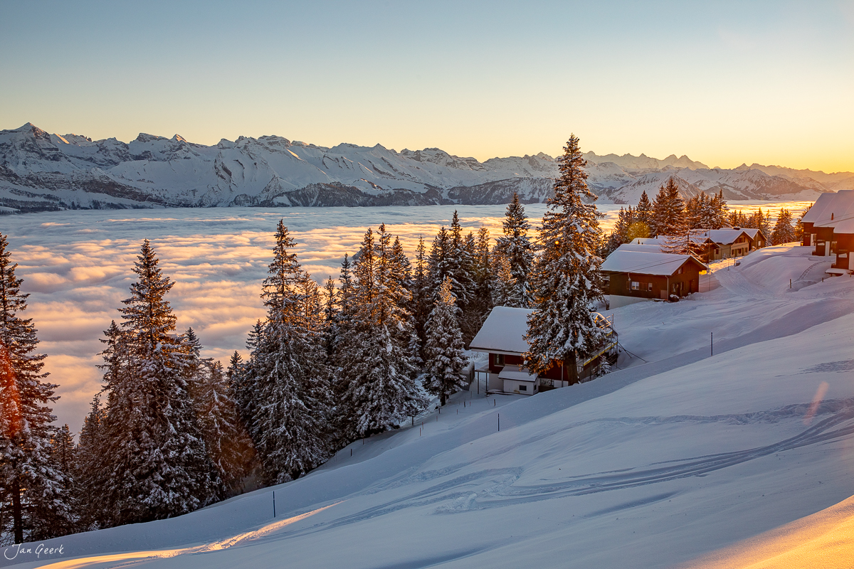 Schneebedeckte Berghäuser und Lärchenwald am Scheidegg mit verschneiten Alpen im Hintergrund, Wintersonnenschein, Zentralschweiz – Jan Geerk Fotograf Basel