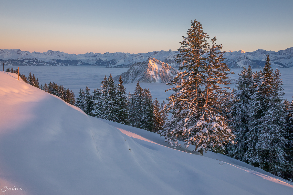Schneebedeckte Alpenhänge mit verschneiten Lärchen bei Sonnenaufgang auf der Rigi Scheidegg, Zentralschweiz – Jan Geerk Fotograf Basel