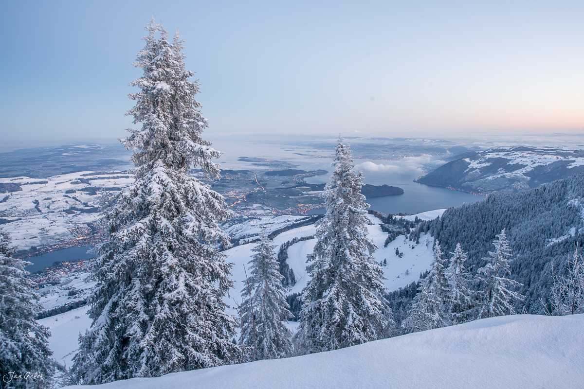 Schneebedeckte Fichten auf der Rigi mit Blick auf Seen und Tal im Winter, Zentralschweiz – Jan Geerk Fotograf Basel