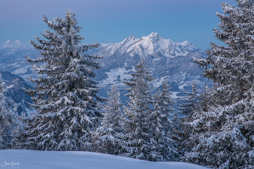 Schneebedeckte Fichten rahmen den Rigi mit verschneiten Abhängen ein, winterliche Berglandschaft in der Schweizer Zentralschweiz – Jan Geerk Fotograf Basel
