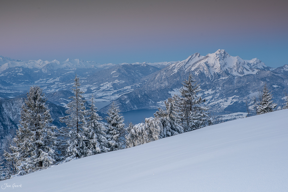Schneebedeckte Fichten am Rigi mit Blick auf verschneite Berge und blauen See im Winter, Zentralschweiz – Jan Geerk Fotograf Basel