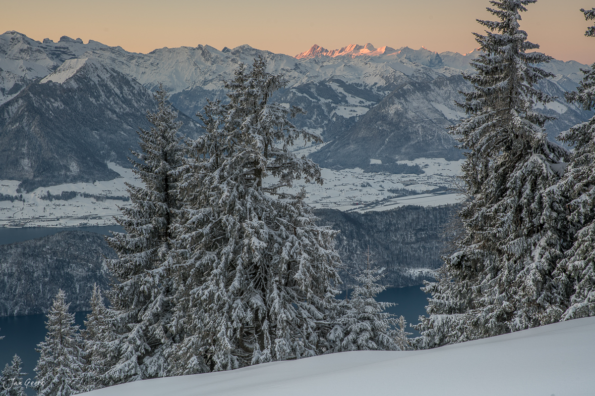 Schneebedeckte Fichten auf der Rigi mit verschneiter Alplandschaft und Berggipfeln bei Sonnenaufgang, Zentralschweiz – Jan Geerk Fotograf Basel