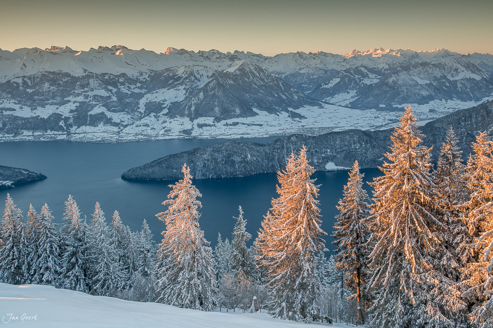 Schneebedeckte Lärchen am Rigi mit gefrorenem See und verschneiten Bergketten in Morgenlichtstimmung Zentralschweiz Schweiz Jan Geerk Fotograf Basel