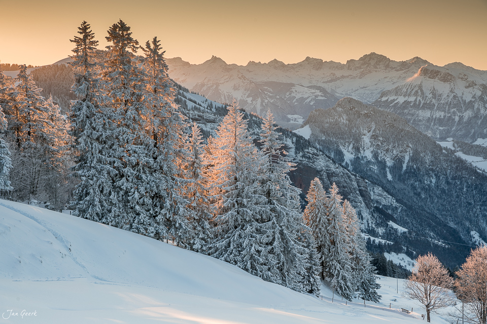 Schneebedeckte Lärchenwälder und Bergpanorama auf der Rigi bei Sonnenaufgang, Zentralschweiz – Jan Geerk Fotograf Basel
