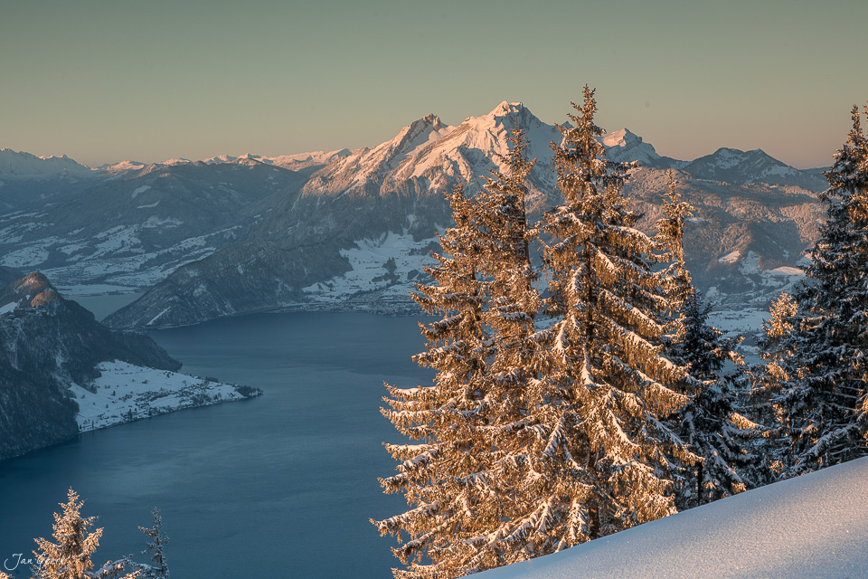 Verschneite Lärchen mit Blick auf den See am Rigi im Winter, Zentralschweiz – Jan Geerk Fotograf Basel