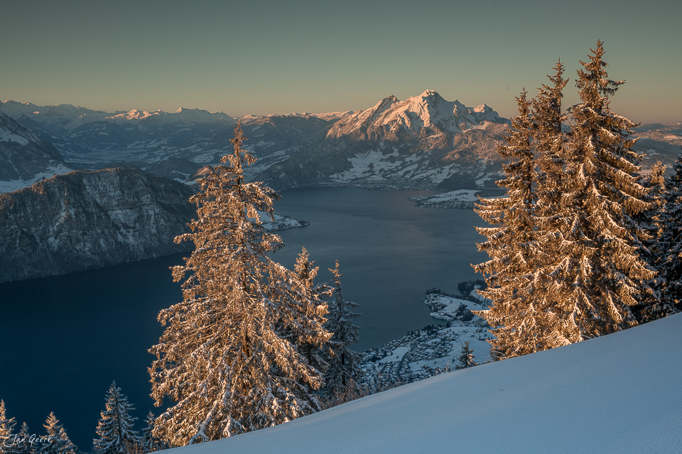 Schneebedeckte Lärchen mit Blick auf den Rigi See im Winterlicht, Zentralschweiz – Schweiz – Jan Geerk Fotograf Basel