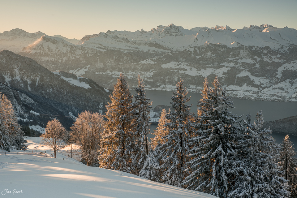 Winterlandschaft mit schneebedeckten Lärchen am Rigi, Morgenlicht über verschneiter Berglandschaft, Zentralschweiz – Jan Geerk Fotograf Basel