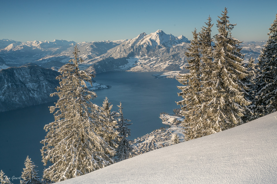 Schneebedeckte Fichten am Rigi mit Blick auf verschneite Berggipfel und See, Zentralschweiz – Jan Geerk Fotograf Basel