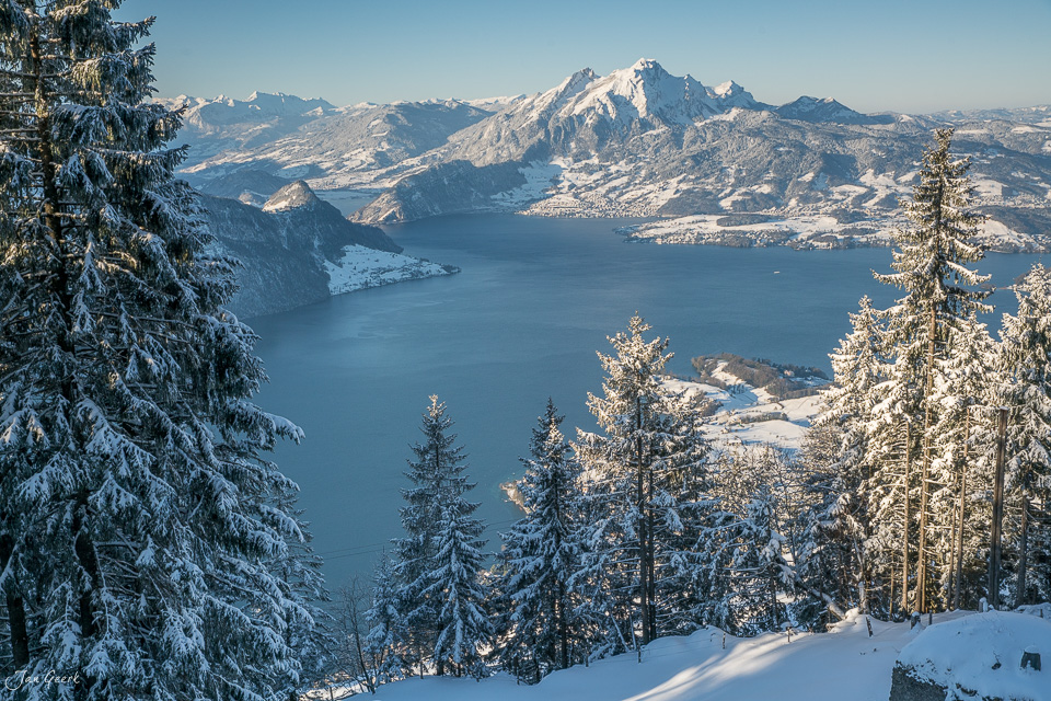 Schneebedeckte Fichten am Rigi mit Blick auf verschneite Berge und blauen See, Zentralschweiz – Jan Geerk Fotograf Basel