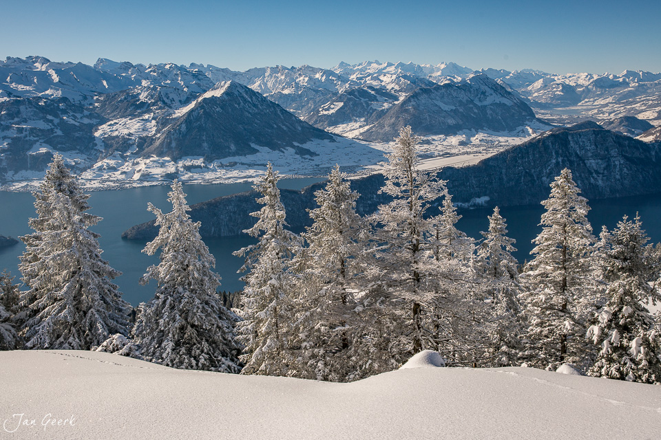 Verschneite Lärchen auf der Rigi mit Blick auf schneebedeckte Berge und See, Winterstimmung Zentralschweiz Schweiz – Jan Geerk Fotograf Basel