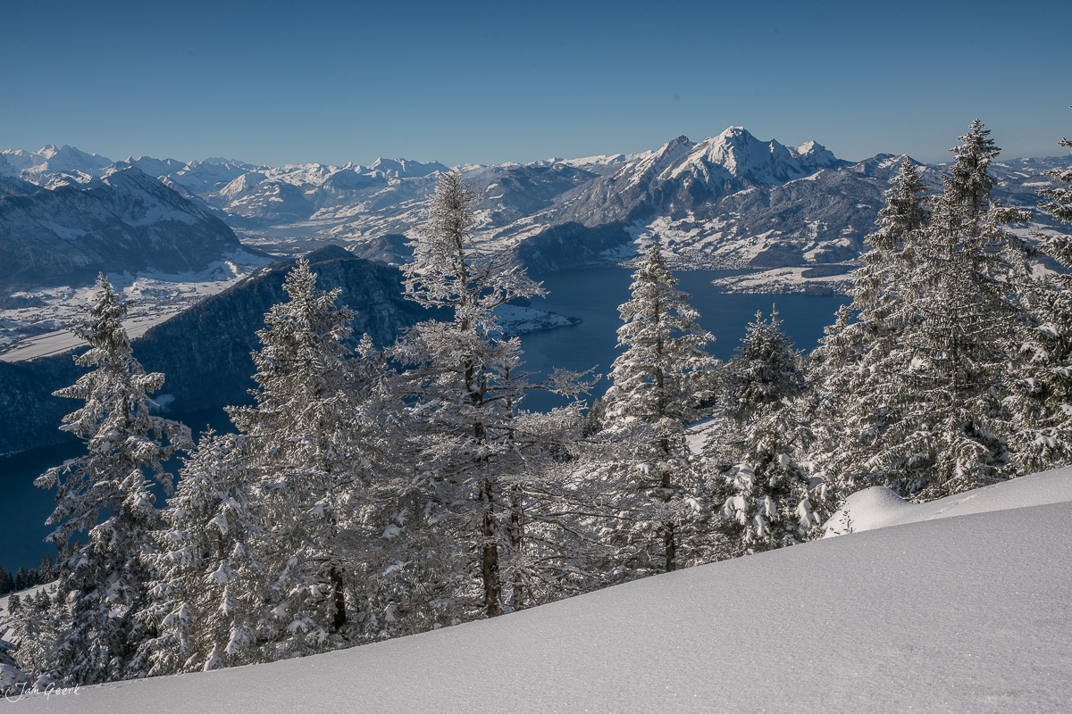Winterlandschaft auf der Rigi mit schneebedeckten Fichten, blauem See und Bergkette, klarer Wintertag Zentralschweiz – Jan Geerk Fotograf Basel