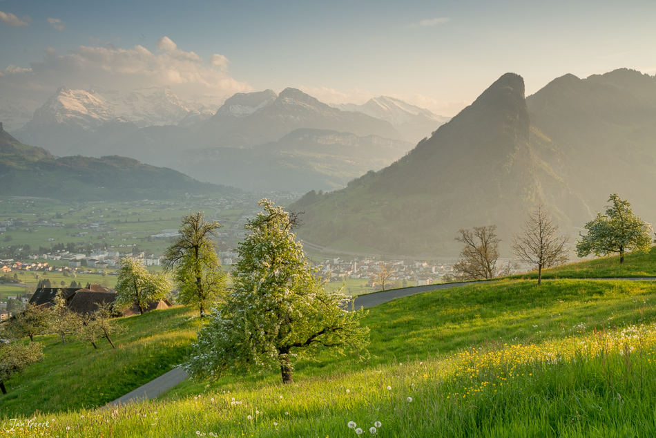 Frühjahrslandschaft mit Obstblüte am Rigi, Lauerzersee und Berge in Schwyz, Schweiz – Jan Geerk Fotograf Basel