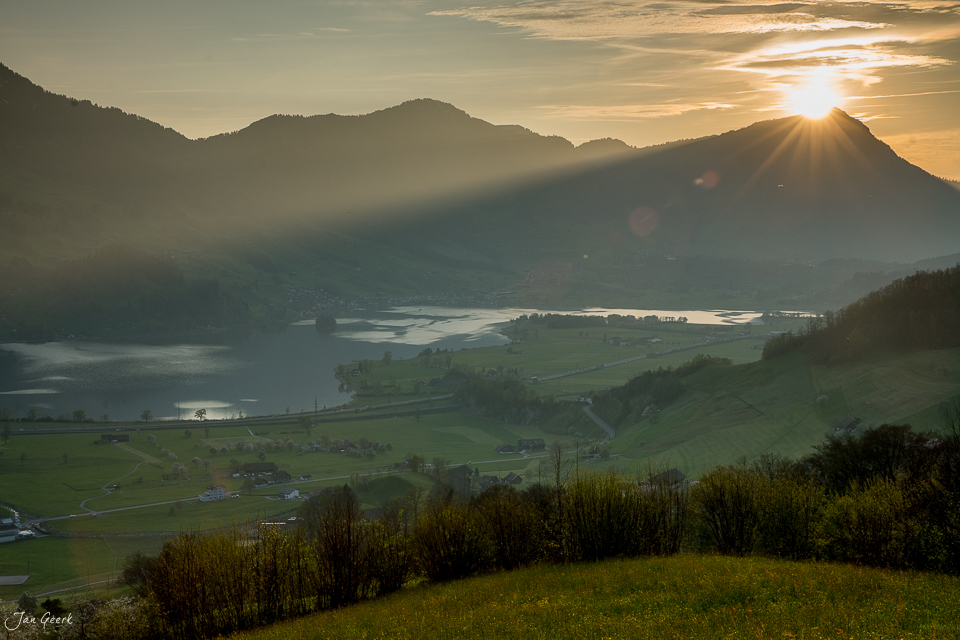 Frühlingshaft blühende Landschaft am Lauerzersee mit Rigi bei Sonnenaufgang, Schwyz, Zentralschweiz – Jan Geerk Fotograf Basel