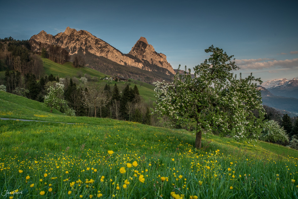 Blütenwald und grüne Wiesen mit Obstblüte am Rigi in Schwyz, Frühjahr Schweiz – Jan Geerk Fotograf Basel