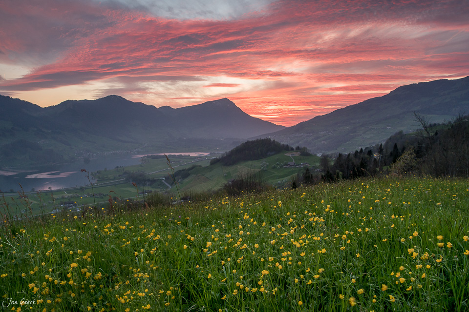 Blühendes Frühjahrstal mit Löwenzahnwiese, Bergen und dramatischem Himmel über Arth in der Zentralschweiz – Jan Geerk Fotograf Basel
