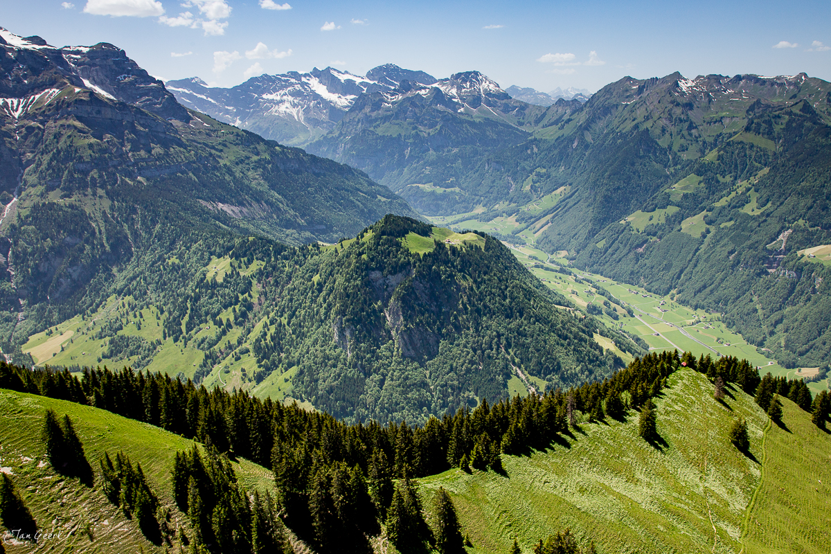 Alpental mit grünen Wiesen, Wäldern und schneebedeckten Berggipfeln auf der Seebodenalp, Zentralschweiz – Jan Geerk Fotograf Basel