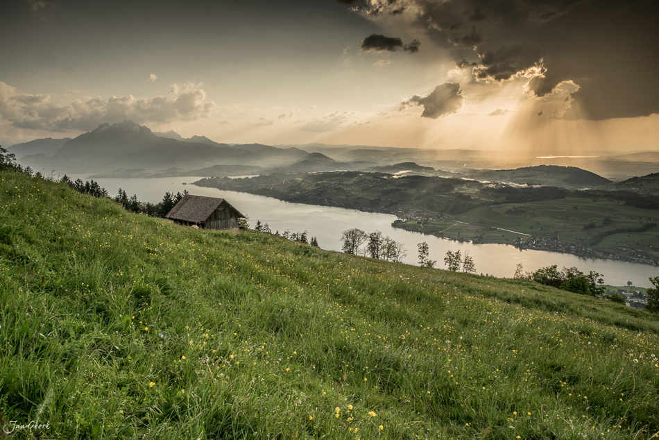 Alpwiese auf der Seebodenalp mit Blick auf den Vierwaldstättersee, Pilatus und Rigi bei Gewitterstimmung im Sommer – Jan Geerk Fotograf Basel