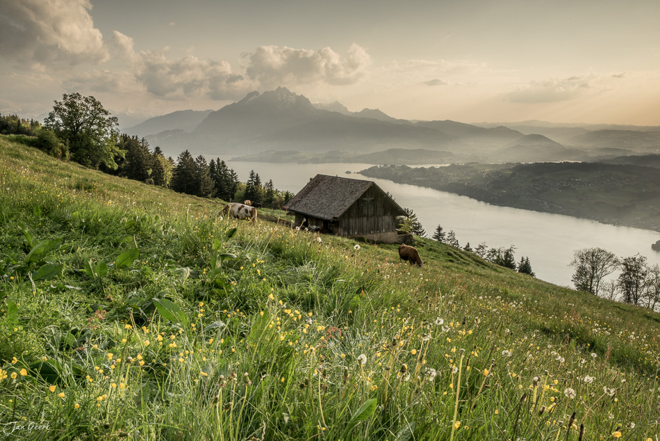 Alpwiese mit Alpgebäude, Vierwaldstättersee und Pilatus, Sommerstimmung in der Zentralschweiz – Jan Geerk Fotograf Basel