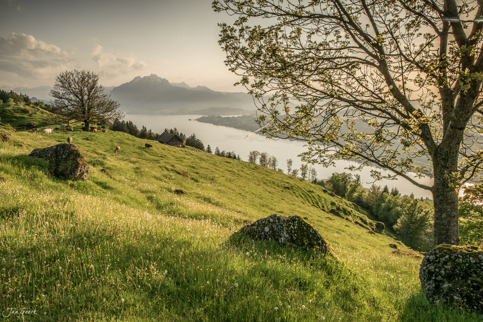 Alpweiden mit Blick auf Vierwaldstättersee, Pilatus und Rigi bei Gewitterstimmung, Seebodenalp Zentralschweiz Schweiz – Jan Geerk Fotograf Basel