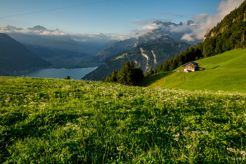 Blütenwiese mit Alphütte über dem Vierwaldstättersee bei Seelisberg, Sommerlandschaft Zentralschweiz Schweiz – Jan Geerk Fotograf Basel