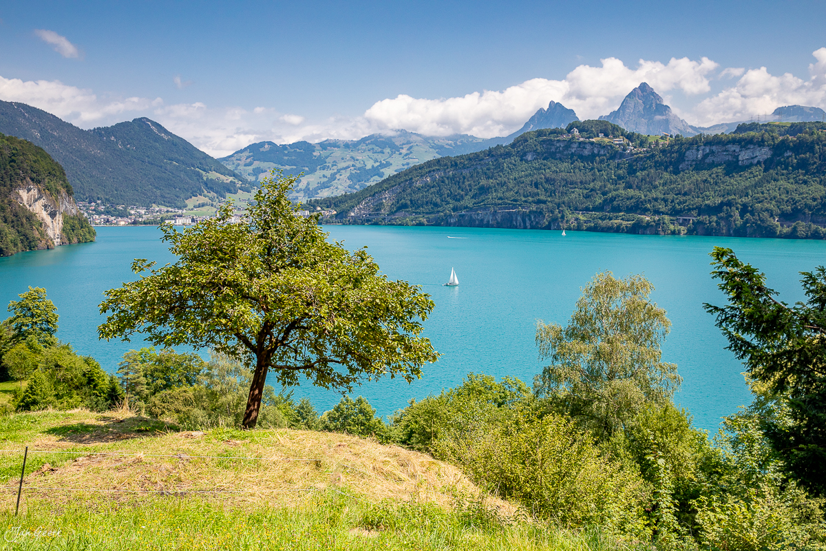 Türkisblaues Seewasser mit Alpenpanorama bei Seelisberg, Sommerliche Berglandschaft der Zentralschweiz – Jan Geerk Fotograf Basel