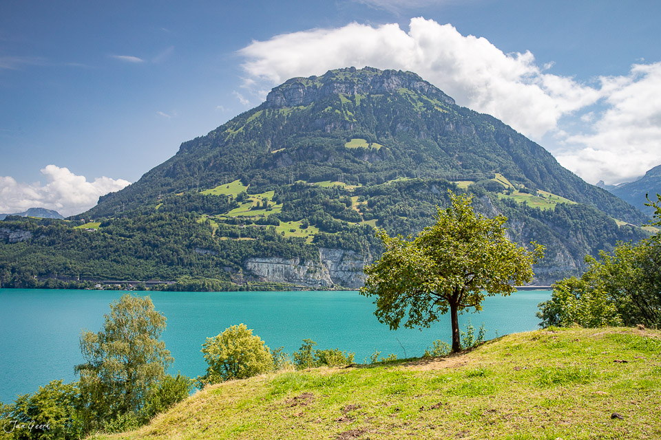 Türkisblauer Vierwaldstättersee mit grünem Seelisberg und Bergmassiv im Sommer, Zentralschweiz – Jan Geerk Fotograf Basel